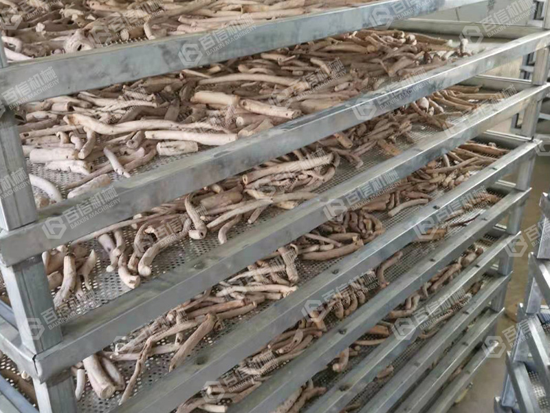 白術(shù)烘干機