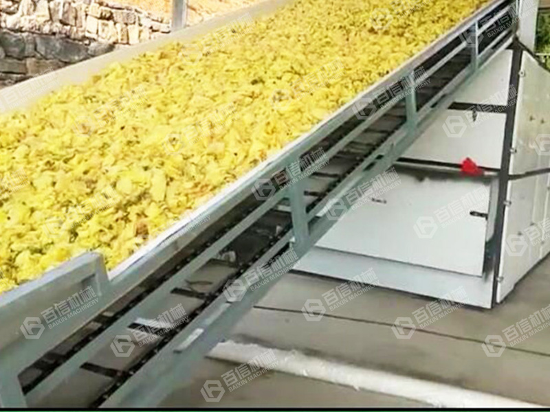 金花葵烘干機2