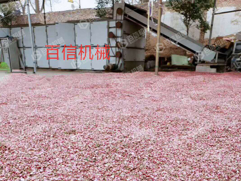 桃花2